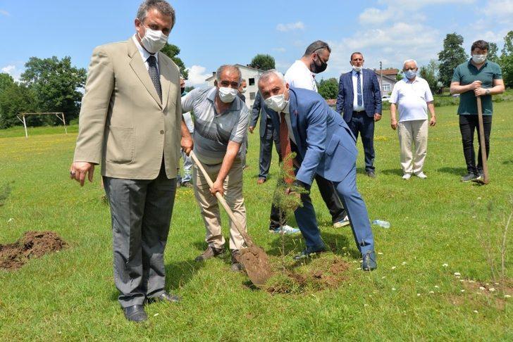Daha yeşil bir Hendek için ağaçlandırma seferberliği başlatıldı G3