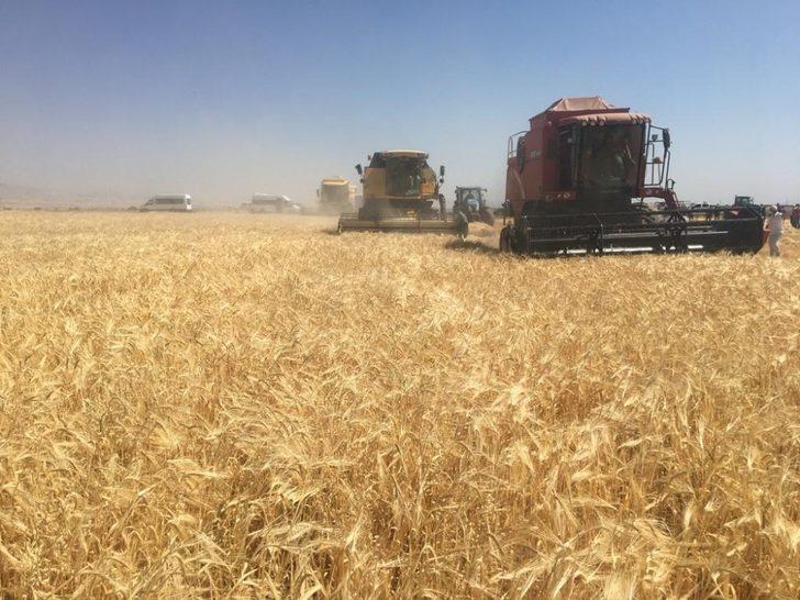 Sultansuyu TİGEM’de hasat mevsimi G1