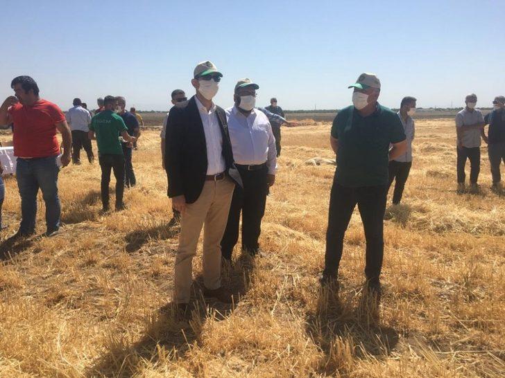 Sultansuyu TİGEM’de hasat mevsimi G2