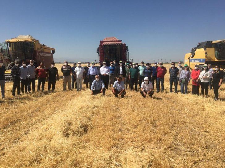 Sultansuyu TİGEM’de hasat mevsimi G3
