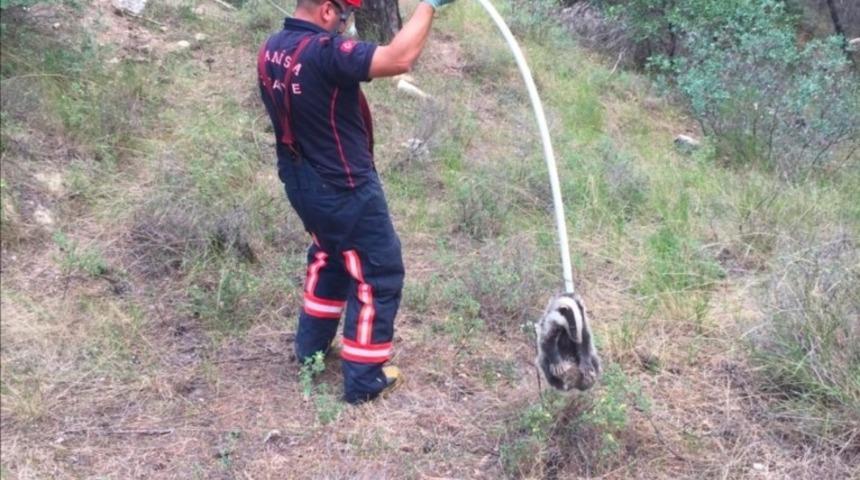 D&uuml;şt&uuml;ğ&uuml; kuyudan itfaiye ekipleri kurtardı