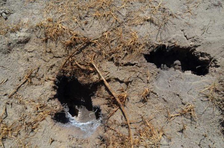 Bölge halkı endişeli: Kendiliğinden yanıyor, yetkililerden çare bulmasını istiyoruz G2