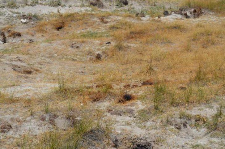 Bölge halkı endişeli: Kendiliğinden yanıyor, yetkililerden çare bulmasını istiyoruz G4