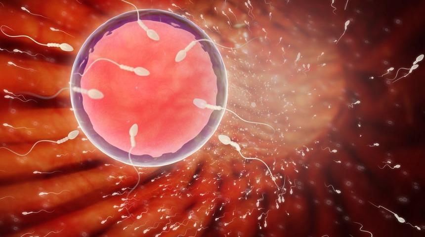 Sperm alerjisi: Nedenleri, belirtileri, tedavisi