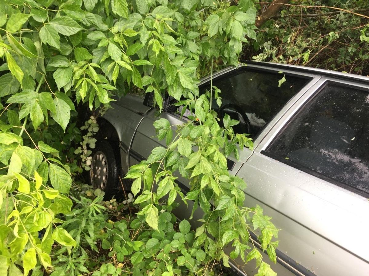 Kayan ara&ccedil; yol kenarına u&ccedil;tu