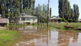 Sivas'ta sulama hattındaki sızıntı ev, ahır ve tarlalarda su baskınlarına yol açtı