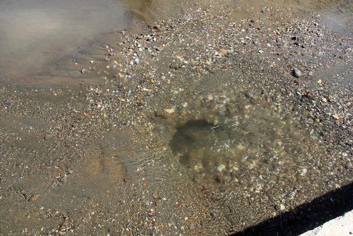 Sivas'ta sulama hattındaki sızıntı ev, ahır ve tarlalarda su baskınlarına yol açtı G2