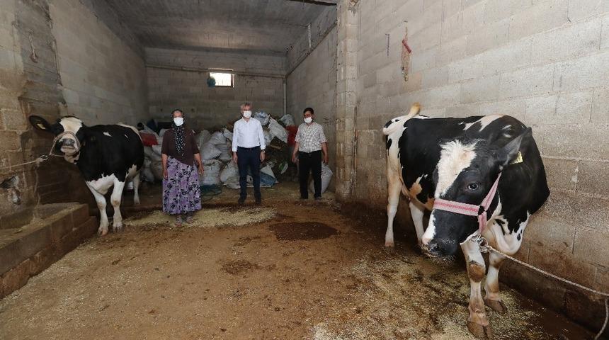 Tahmazoğlu&rsquo;ndan hayvancılığa tam destek
