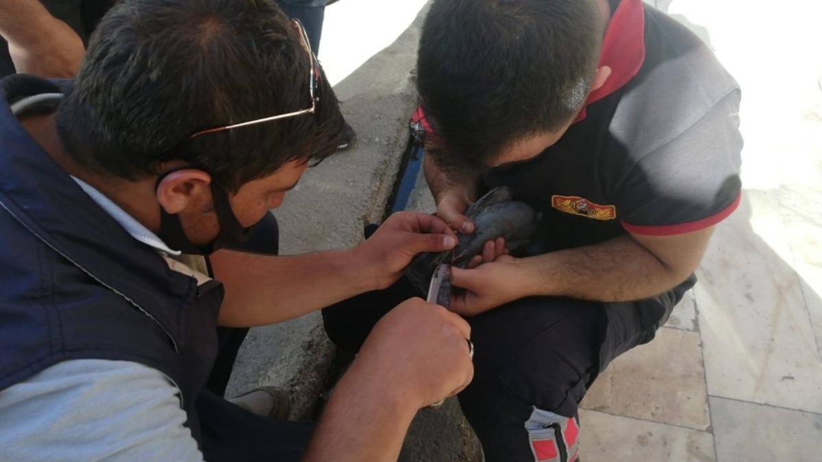 Erciş&rsquo;te &ccedil;atıda mahsur kalan g&uuml;vercini itfaiye kurtardı