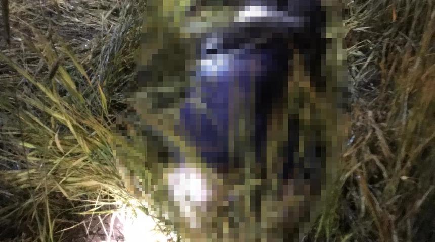 Mantar toplamaya &ccedil;ıkan yaşlı adamın cesedi bulundu