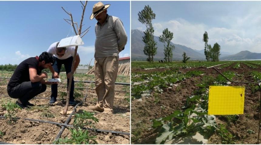 Van&rsquo;da sebze ekili alanlarda hastalık kontrol&uuml;