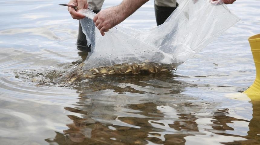 T&uuml;rkiye&rsquo;de su &uuml;r&uuml;nleri &uuml;retimi 2019 yılında y&uuml;zde 33,1 arttı