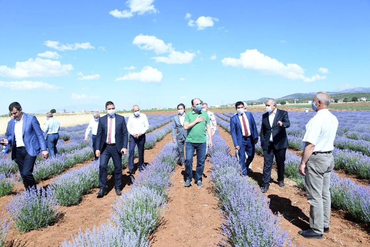 Başkan Altay: "G&uuml;neysınır lavantasını marka yapmak istiyoruz"