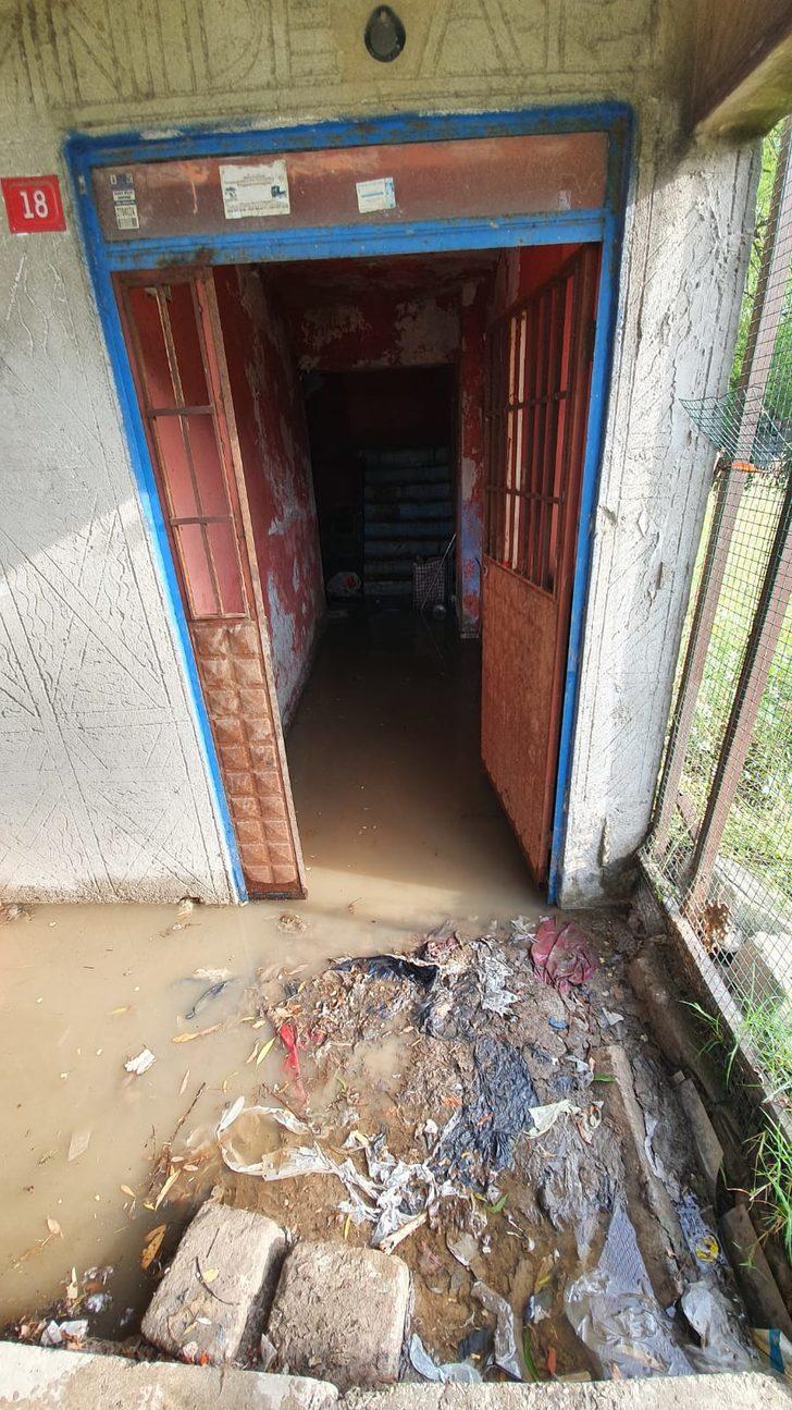 Evini su basan yaşlı kadın kedi ve köpekleri için ağladı G5