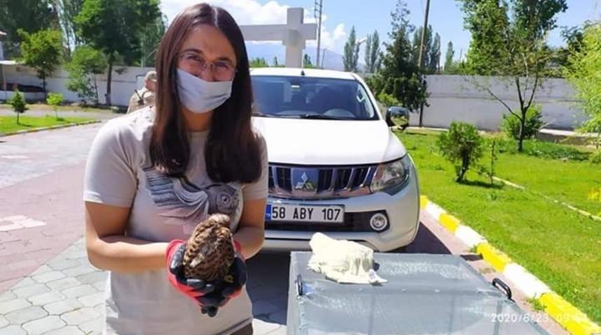 Iğdır&rsquo;da yavru kerkenez yetkililere teslim edildi