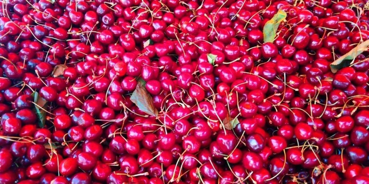 Şanlıurfa&rsquo;da Erik ve Kiraza rağbet arttı