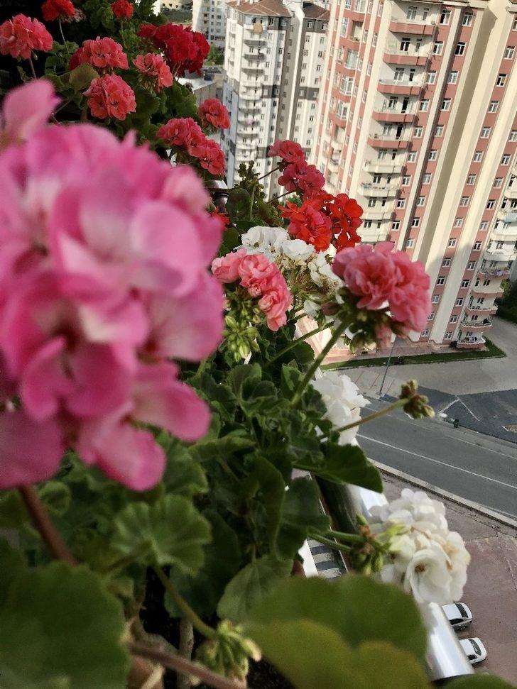 Talas’ta güzel balkon ve bahçelere ödül G2