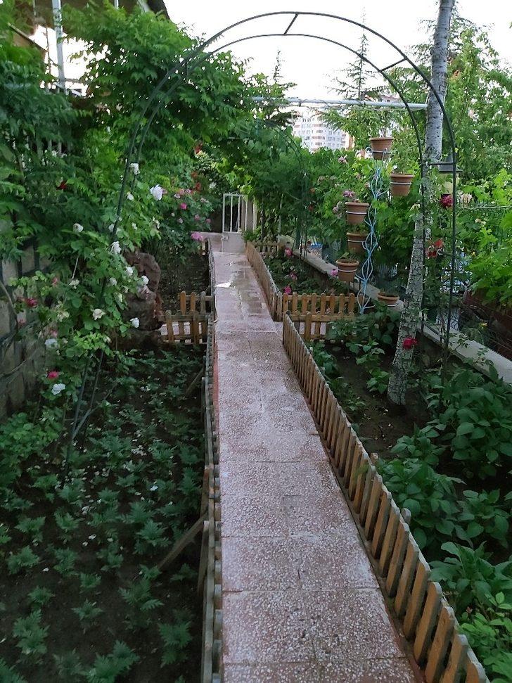 Talas’ta güzel balkon ve bahçelere ödül G3