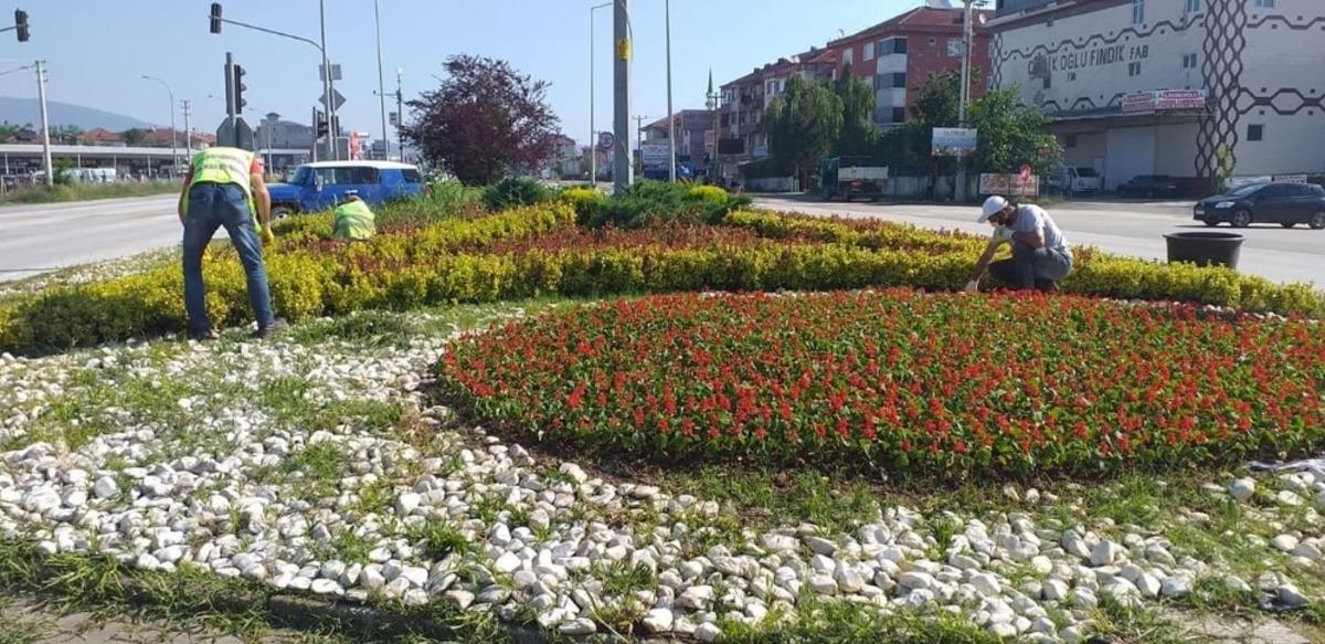 D&uuml;zce &ccedil;i&ccedil;eklerle g&uuml;zelleşiyor