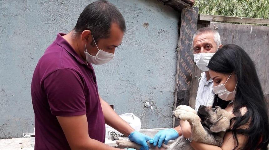 Odunpazarı Belediyesi’nin  hayvanseverlerle işbirliği
