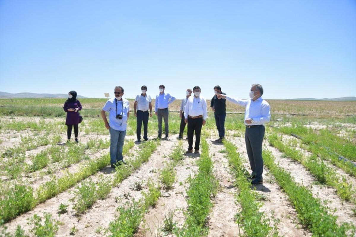 Yerli ve Milli Tohumun Ulaşamadığı &Ccedil;ift&ccedil;i Kalmayacak