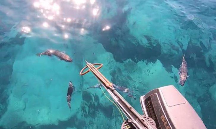 Balon balığından parmağını son anda kurtardı G1