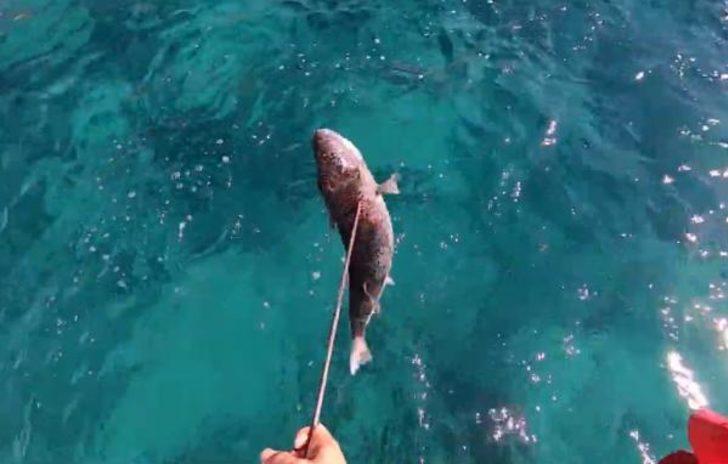 Balon balığından parmağını son anda kurtardı G4