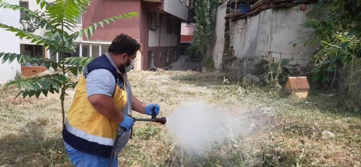 Keneye karşı tedbir ama&ccedil;lı ila&ccedil;lama yapılıyor