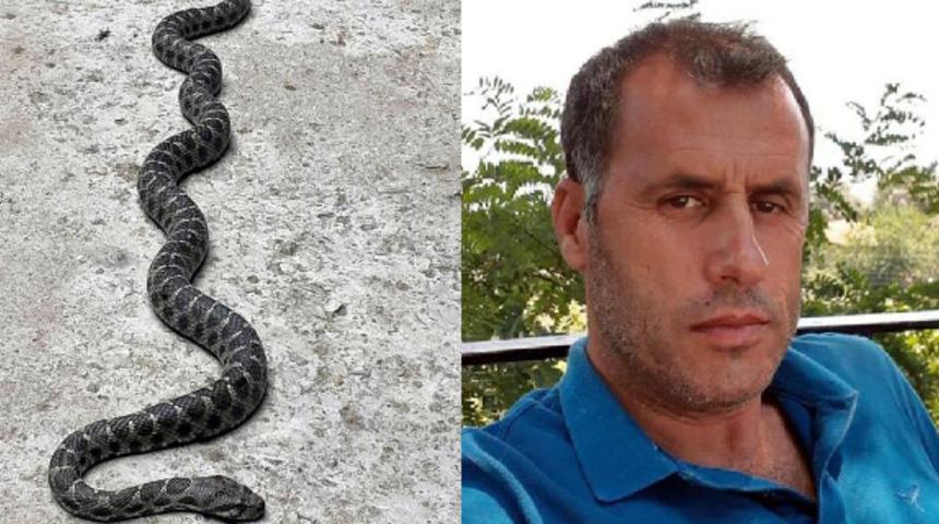 &Ccedil;atıdaki g&uuml;vercinleri beslemeye &ccedil;ıktı, 2 metrelik yılanla karşılaştı