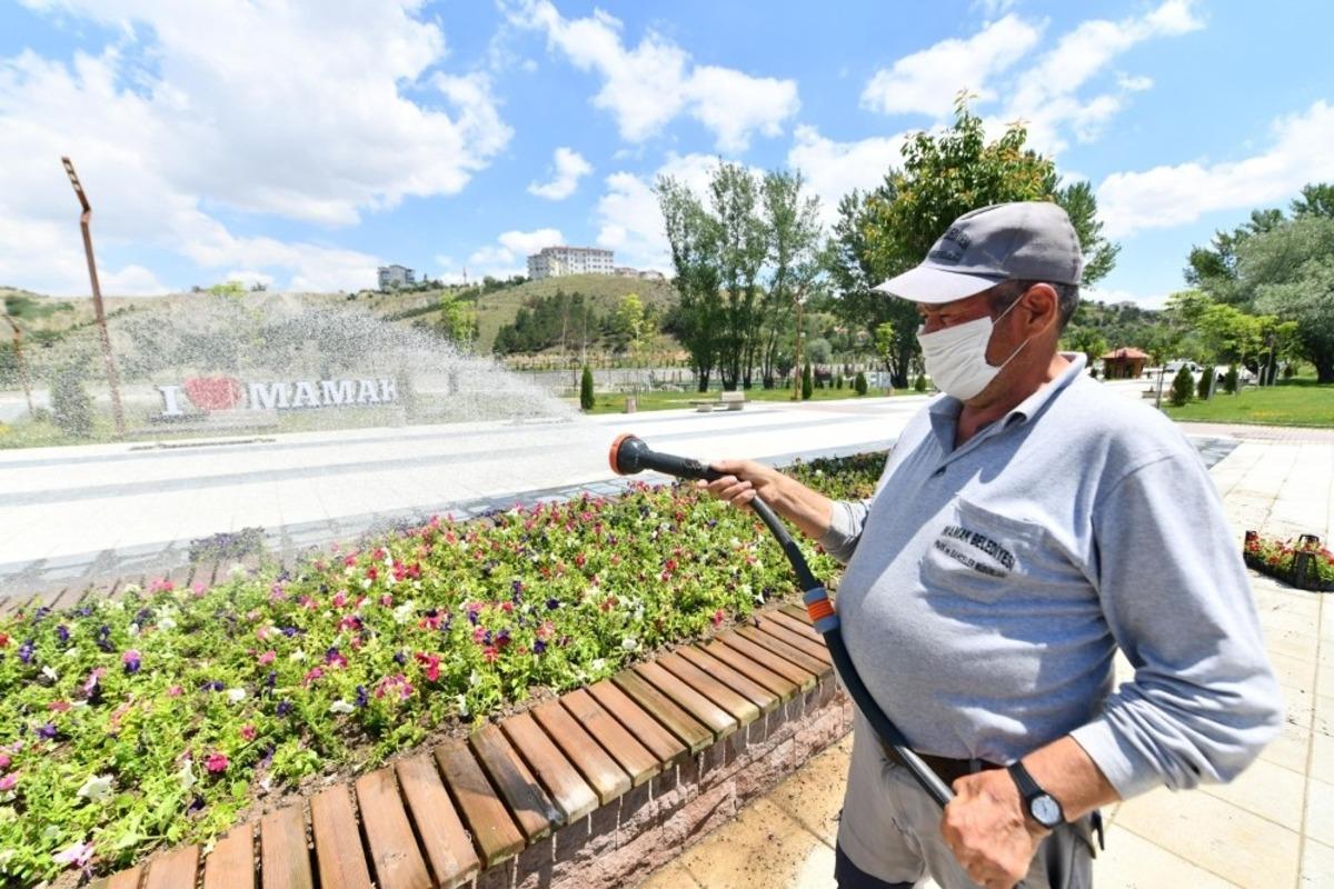 Mamak g&uuml;l bah&ccedil;esine d&ouml;nd&uuml;