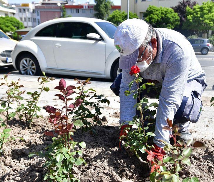 Mamak gül bahçesine döndü G4