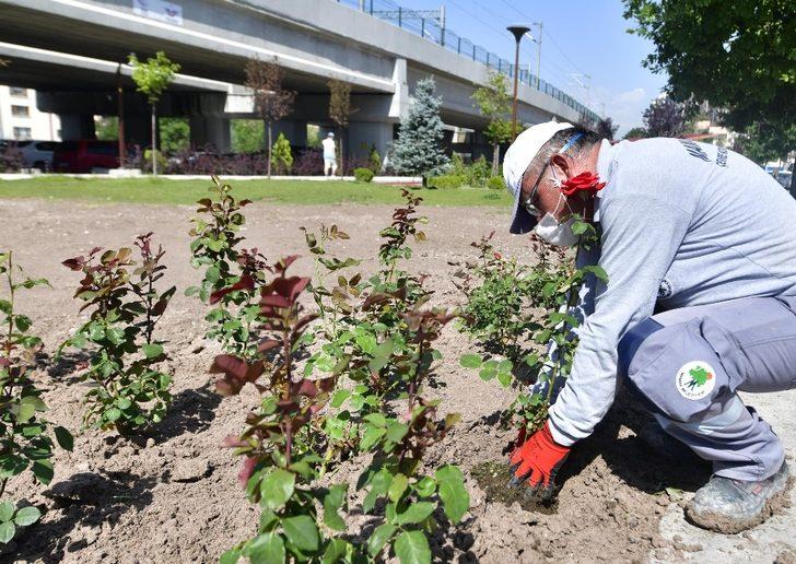Mamak gül bahçesine döndü G5