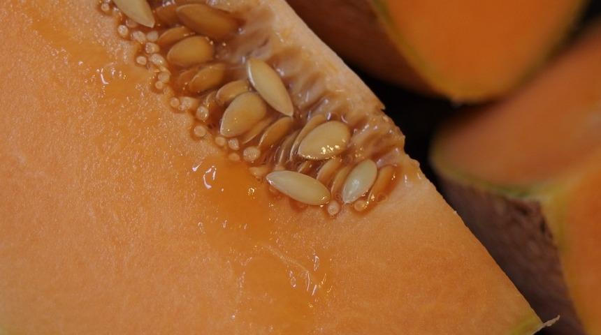 Kavun seçmek bu kadar kolaymış! Kavunun iyisini almak için...