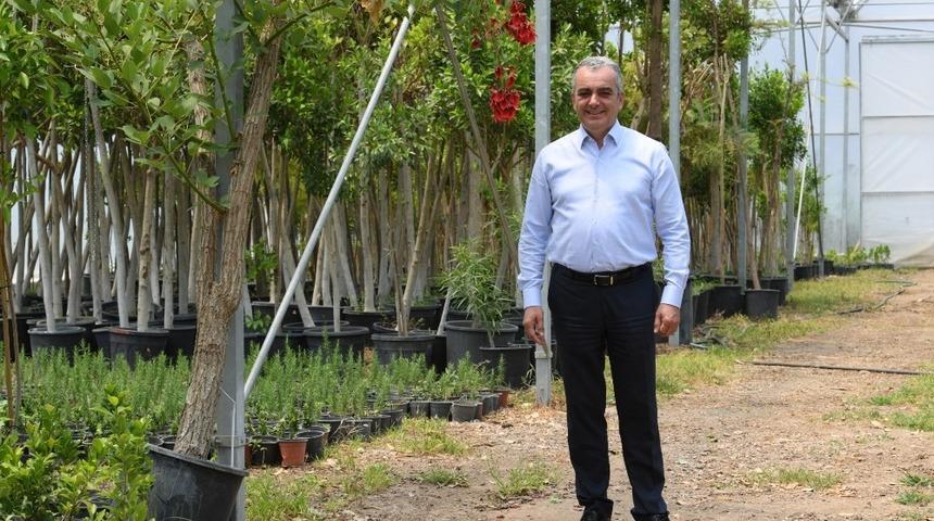 Başkan Esen, 250 fidan ile meydan okudu