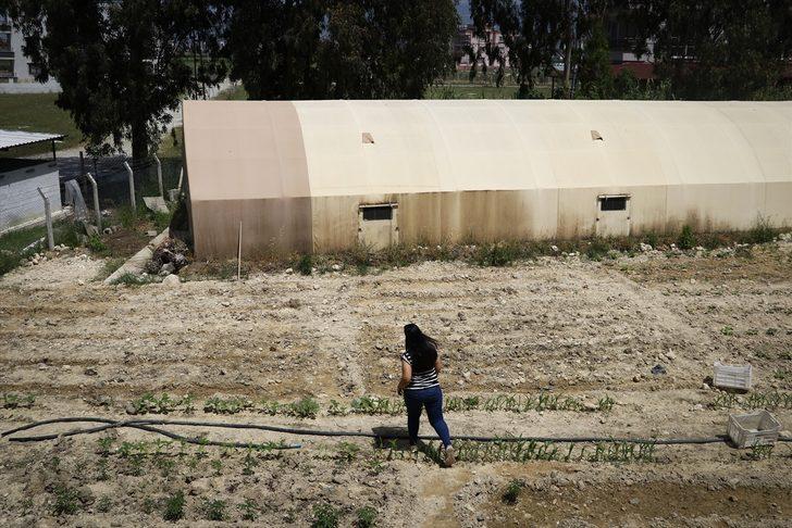 Hataylı kadın girişimci 4 milyon solucanla gübre üretiyor G2