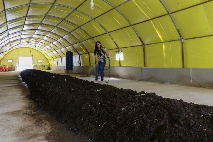 Hataylı kadın girişimci 4 milyon solucanla gübre üretiyor G3