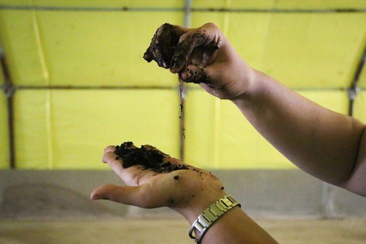 Hataylı kadın girişimci 4 milyon solucanla gübre üretiyor G4