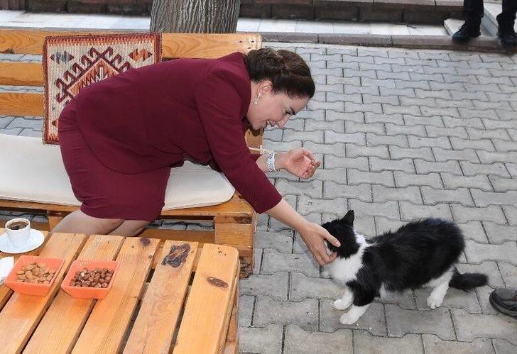 Vali Funda Kocabıyık’tan hayvanseverlere mama desteği G3