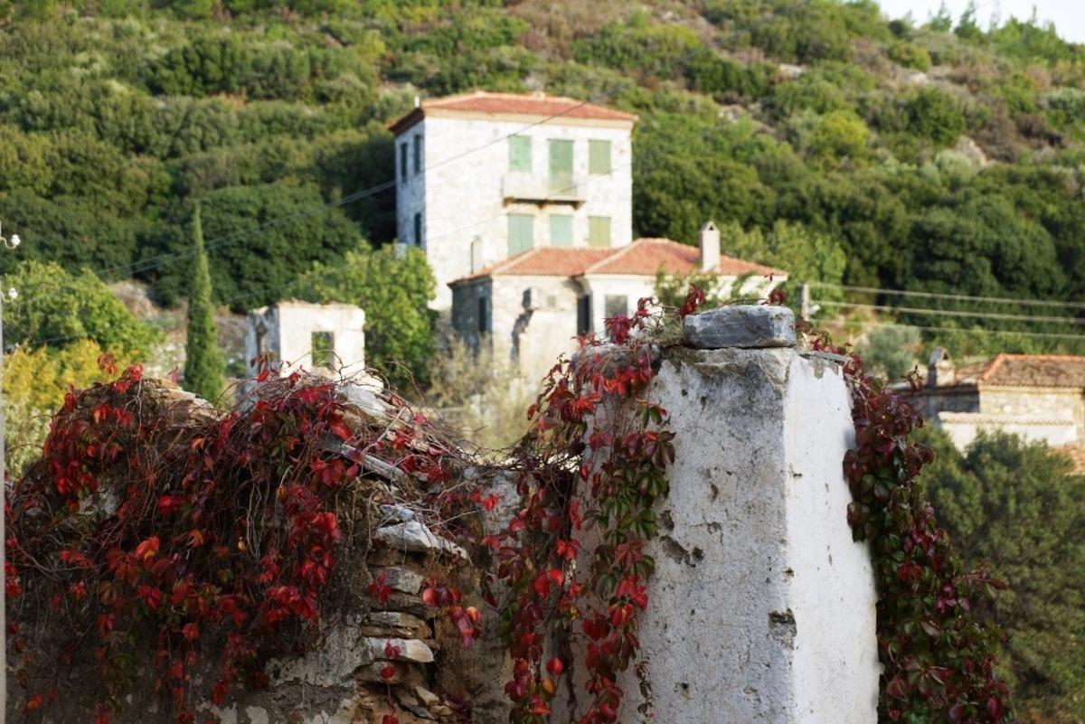 Doğanbey, taş evleri saran &ccedil;i&ccedil;ekleri ile ayrı bir g&uuml;zelliğe b&uuml;r&uuml;nd&uuml;