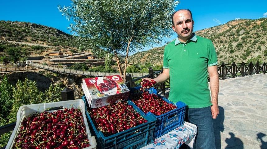 Başkan Altay: "Konya, Türkiye’nin gıda güvenliğini sağlıyor"