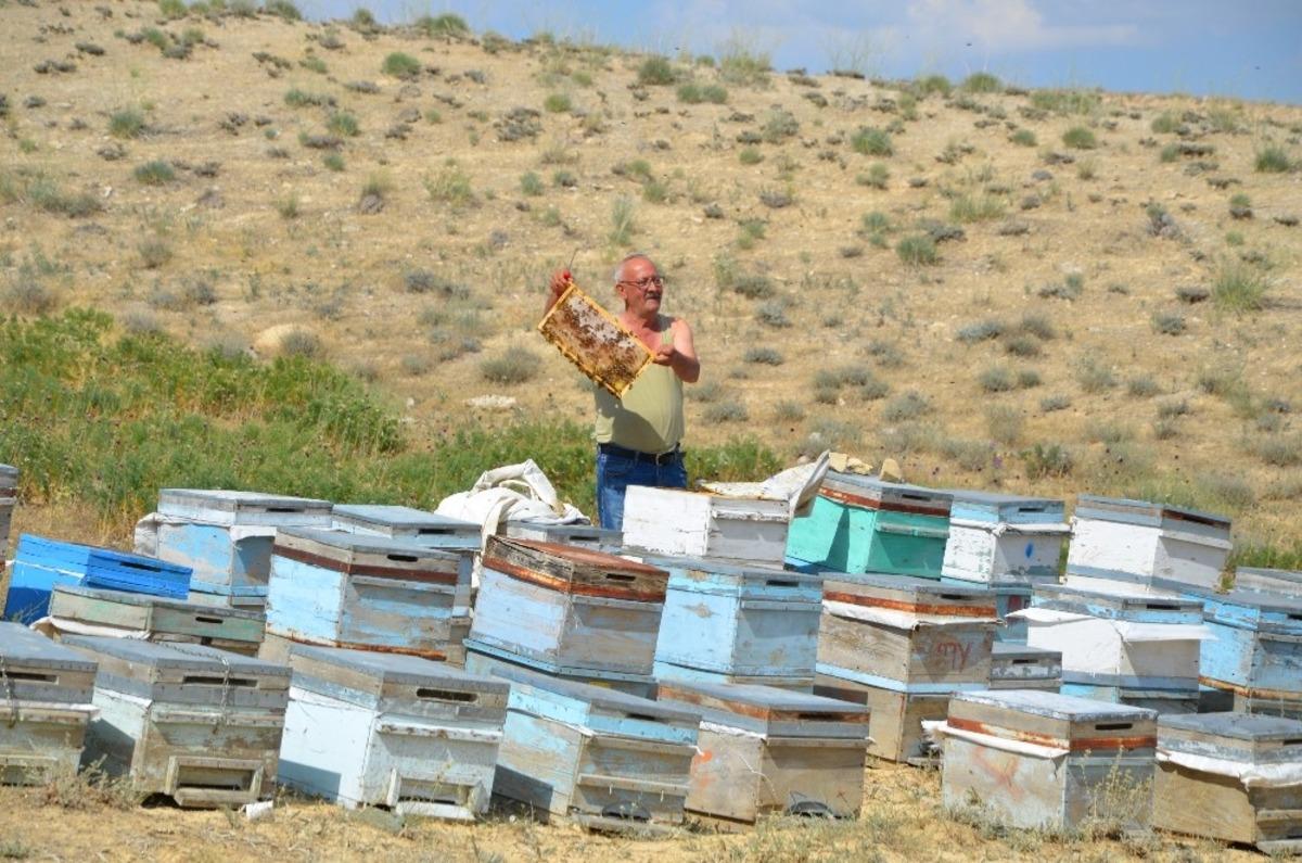 Darendeli Arıcılar, bu yıl verim y&uuml;ksekliğinden umutlu