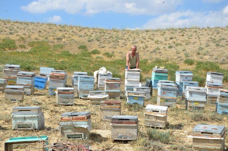 Darendeli Arıcılar, bu yıl verim yüksekliğinden umutlu G3