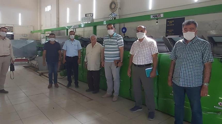 Zeytinyağı fabrikalarında inceleme başladı