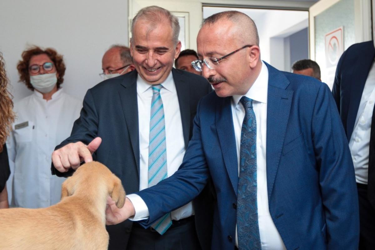Vali Atik, sokak hayvanlarını sahiplenme &ccedil;ağrısında bulundu