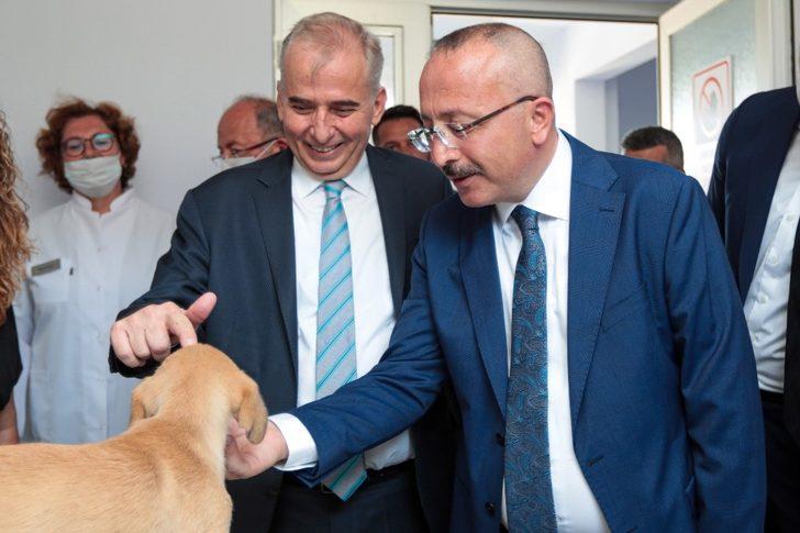 Vali Atik, sokak hayvanlarını sahiplenme çağrısında bulundu G1