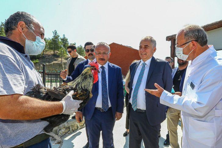 Vali Atik, sokak hayvanlarını sahiplenme çağrısında bulundu G5