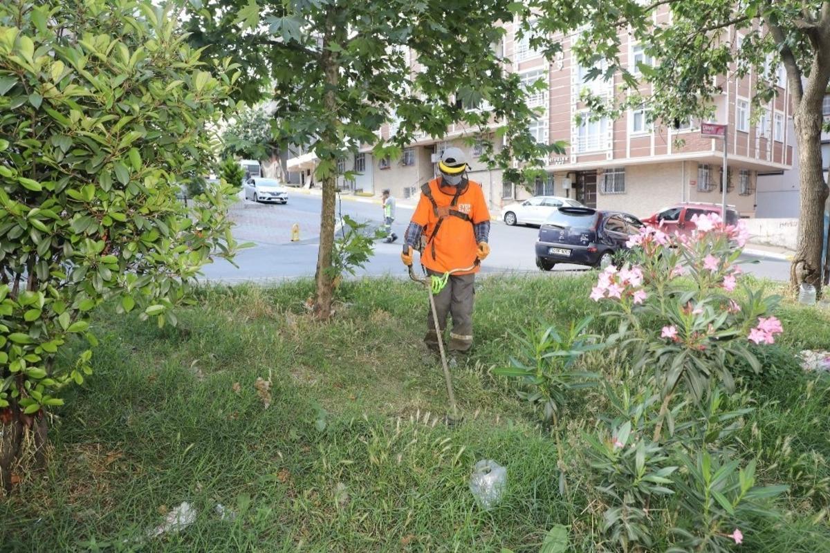 Yeşilpınar Mahallesi&rsquo;nde yazlık bakım &ccedil;alışmaları ger&ccedil;ekleştirildi