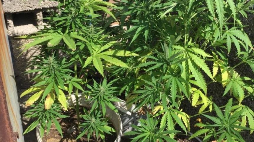 İskenderun&rsquo;da uyuşturucu operasyonu