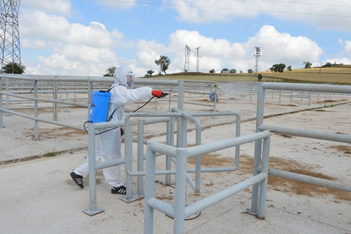 &Ouml;zdemir: &ldquo;Canlı hayvan pazarlığı tokalaşarak yapılamayacak&rdquo;