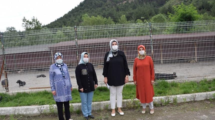 AK Partili kadınlardan &lsquo;Bir Kap Su, Bir Kap Mama&rsquo; kampanyası